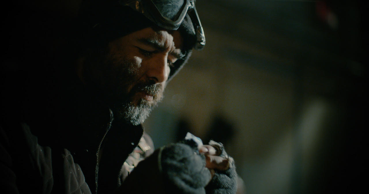 The Harvester Generation